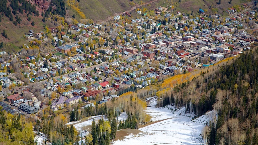 Telluride