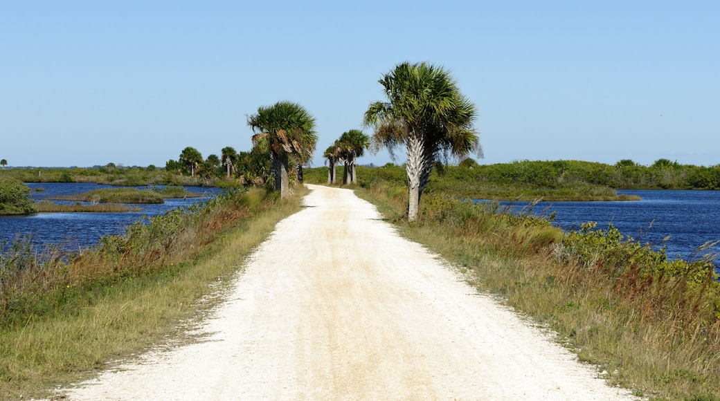 Refugio Nacional de Vida Silvestre de la Isla de Merritt