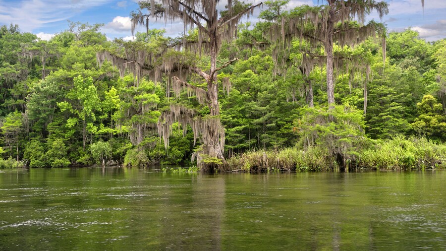 Wakulla Springs State Park near Tallahassee, Florida
