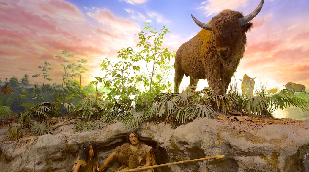 南フロリダ博物館