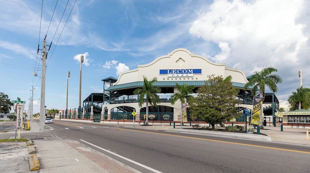 Sarasota_McKechnieField_6089889-2