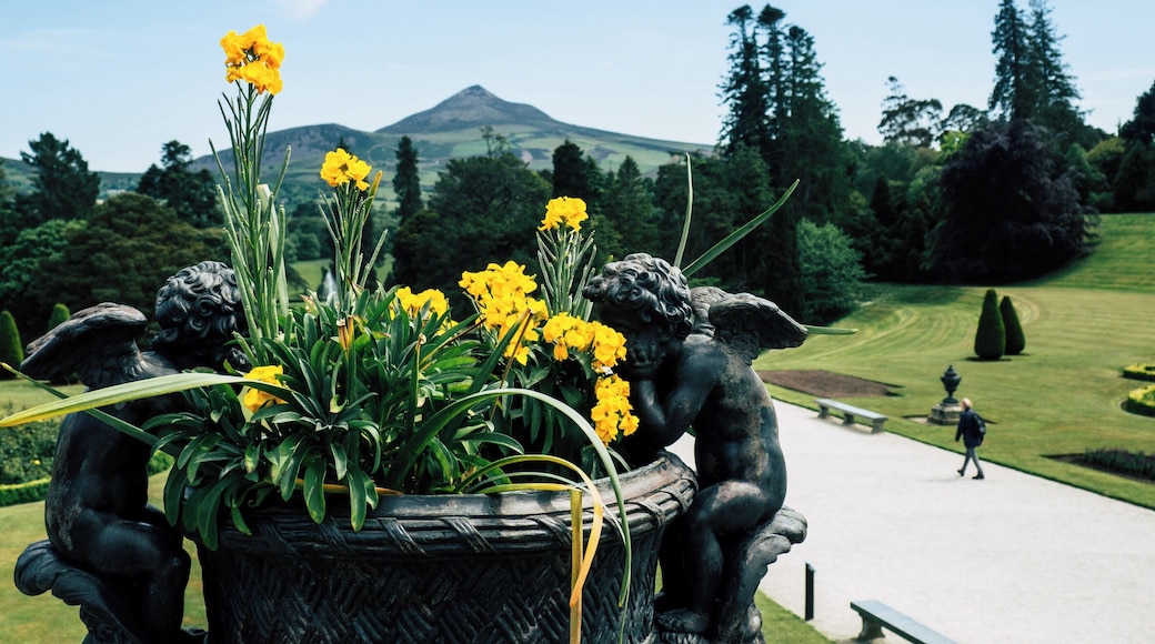 Found in the amazing park of Powerscourt Gardens. Not that well known, but very worth the trip.