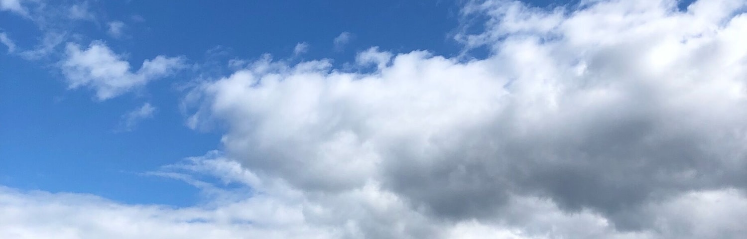 Powerscourt is a beautiful manor with a cafe and famous gardens. Though there is a fee to tour the gardens, sitting at the cafe and looking out over the massive estate is just as nice. #Ireland #Powerscourt #Cafe #Gardens