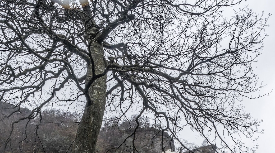 You have to visit the waterfall in bad weather. Then he leads more water and you are almost undisturbed đ