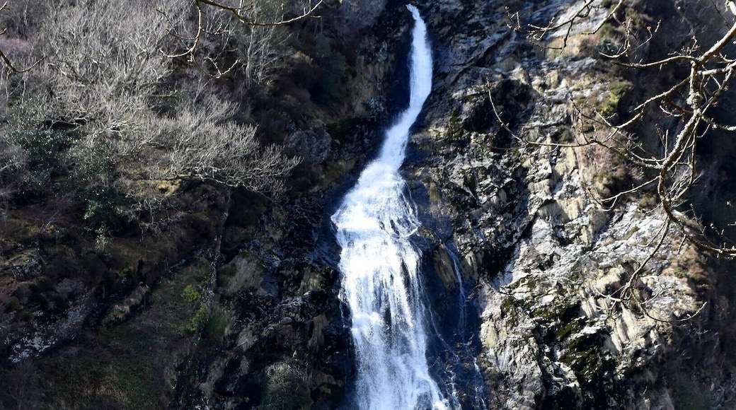 Powerscourt Waterfall
is a waterfall on the river Dargle near Enniskerry, County Wicklow, in Ireland, located in a valley surrounded by Djouce Mountain and the Great Sugar Loaf. At a height of 121 metres (397 ft), it is the highest waterfall in Ireland. The waterfall and surrounding valley are owned by the Powerscourt Estate.
