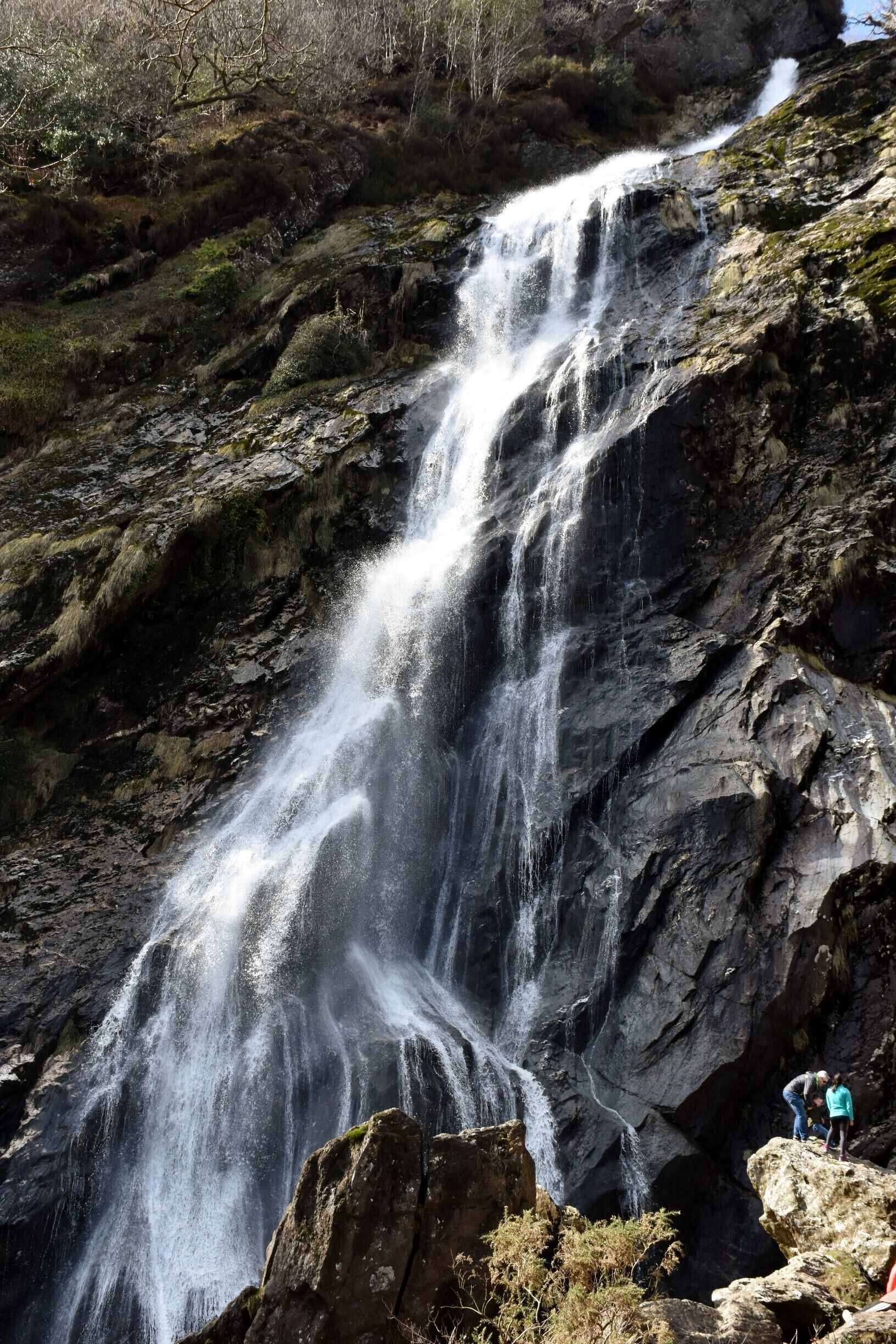 Powerscourt Waterfall
is a waterfall on the river Dargle near Enniskerry, County Wicklow, in Ireland, located in a valley surrounded by Djouce Mountain and the Great Sugar Loaf. At a height of 121 metres (397 ft), it is the highest waterfall in Ireland. The waterfall and surrounding valley are owned by the Powerscourt Estate.