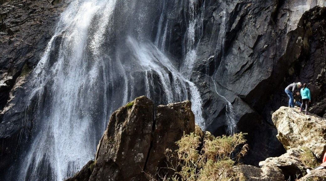 Powerscourt Waterfall
is a waterfall on the river Dargle near Enniskerry, County Wicklow, in Ireland, located in a valley surrounded by Djouce Mountain and the Great Sugar Loaf. At a height of 121 metres (397 ft), it is the highest waterfall in Ireland. The waterfall and surrounding valley are owned by the Powerscourt Estate.