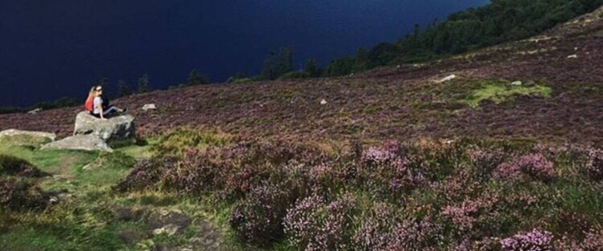 View of Lough Tay is incredible, well worth the trip! #wicklow #beautiful #view #lake #ireland #tourist #outdoor #sun #hiking #takeahike