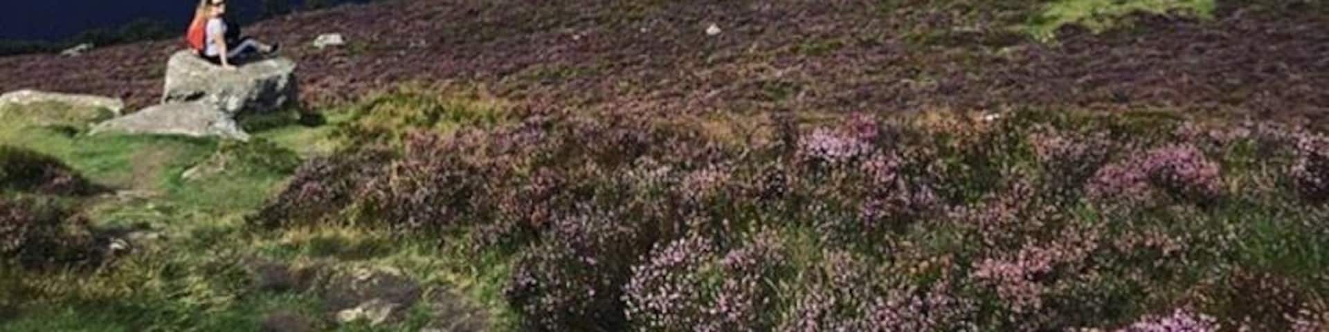 View of Lough Tay is incredible, well worth the trip! #wicklow #beautiful #view #lake #ireland #tourist #outdoor #sun #hiking #takeahike