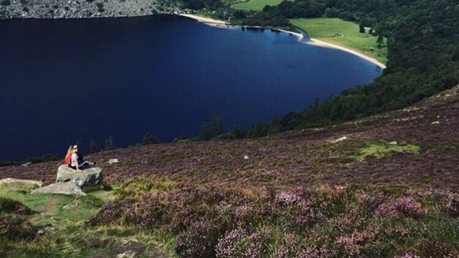 View of Lough Tay is incredible, well worth the trip! #wicklow #beautiful #view #lake #ireland #tourist #outdoor #sun #hiking #takeahike