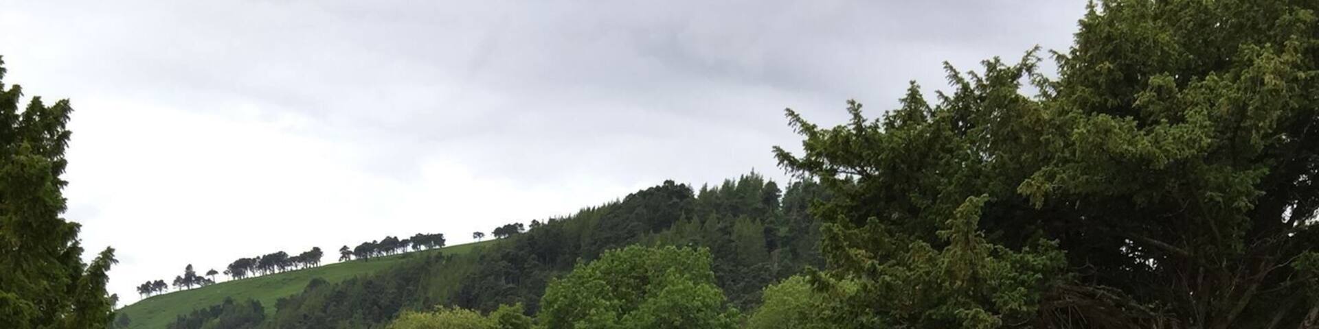 Cemetery in Glendalough, Ireland. #glendalough #ireland #cemetery #headstones