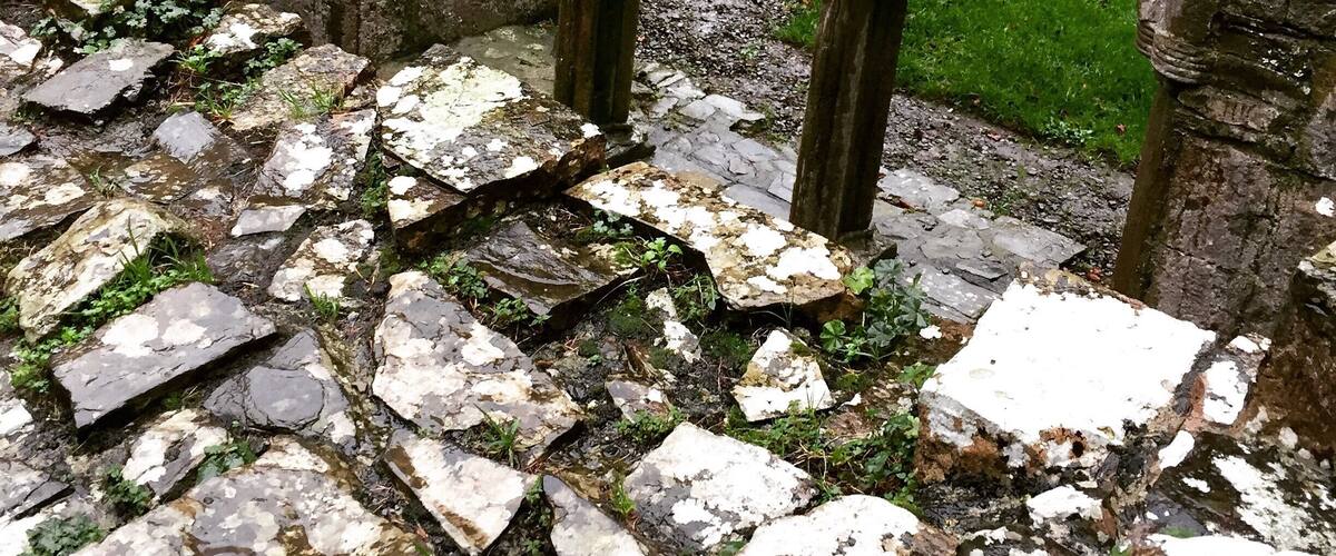 A stone pathway with moss and ivy, leading to a stone archway.