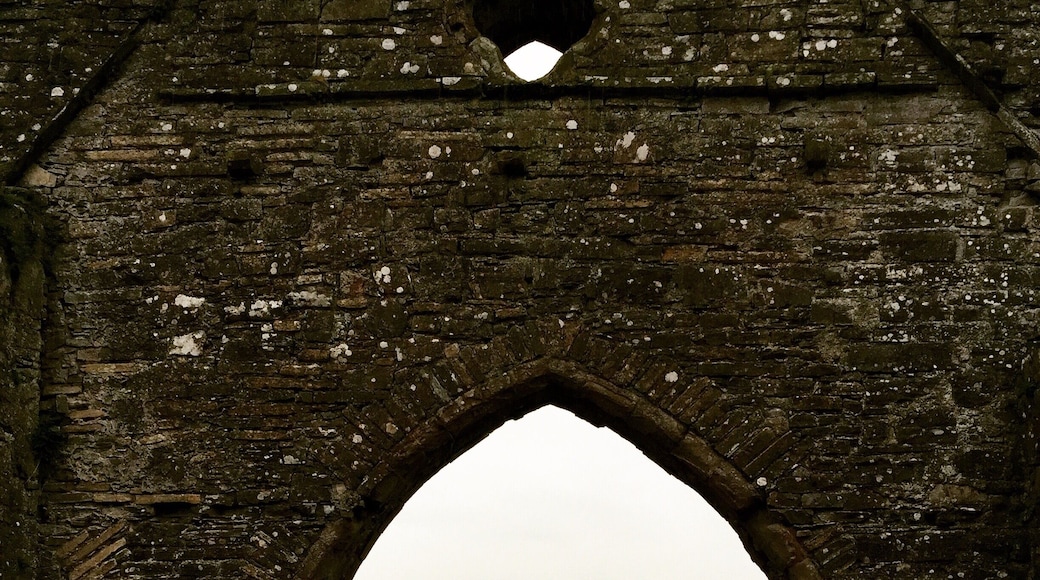 These ruins in Ireland were amazing! #lifeatexpedia