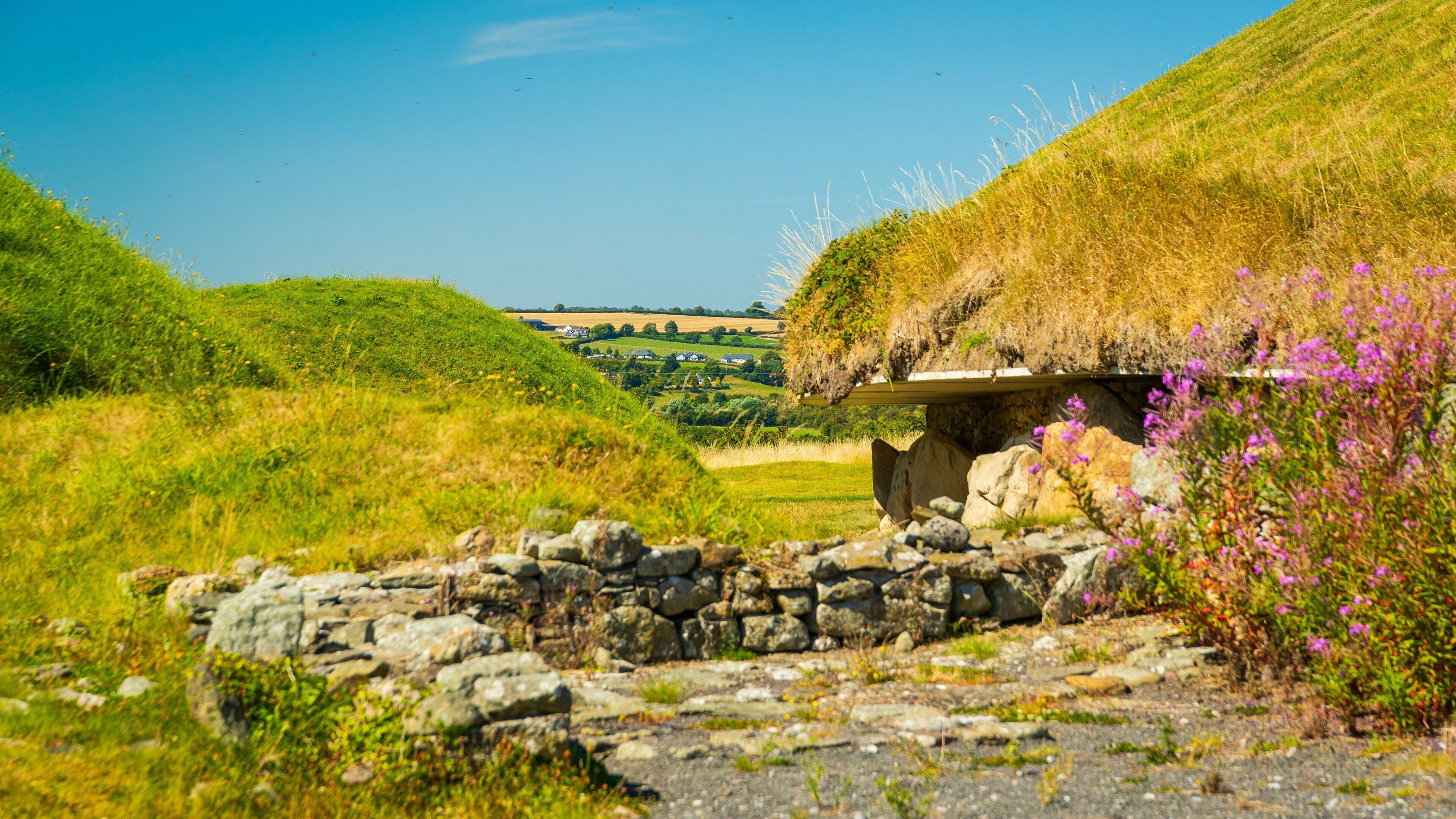 Knowth featuring heritage elements and wildflowers