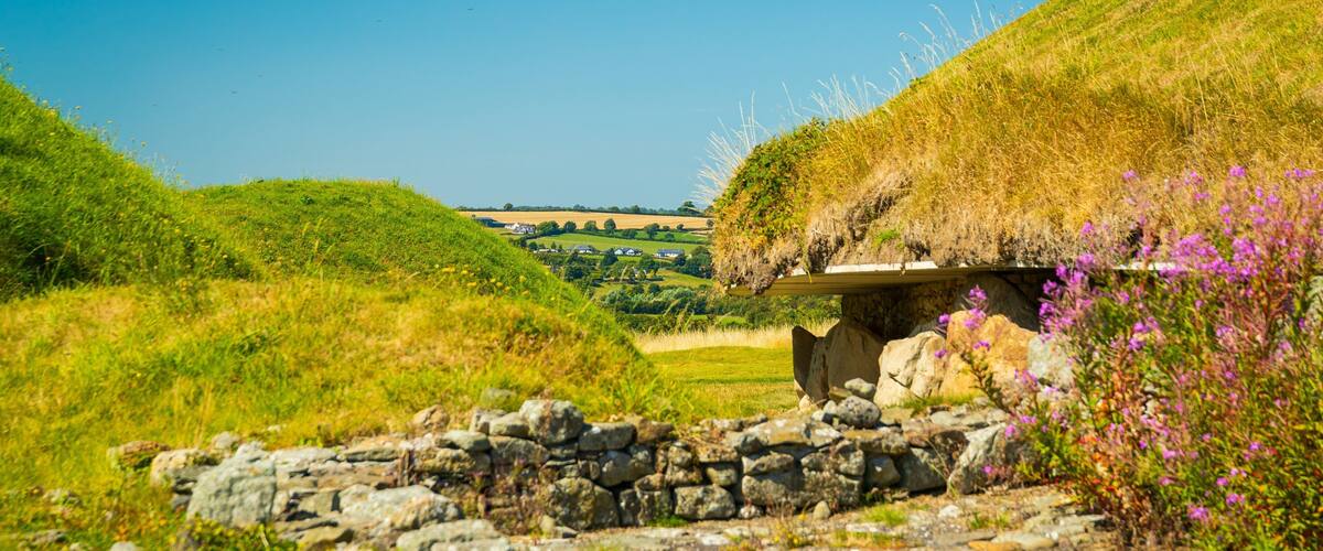 Knowth featuring heritage elements and wildflowers