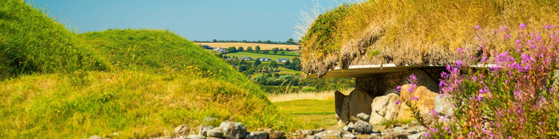 Knowth featuring heritage elements and wildflowers