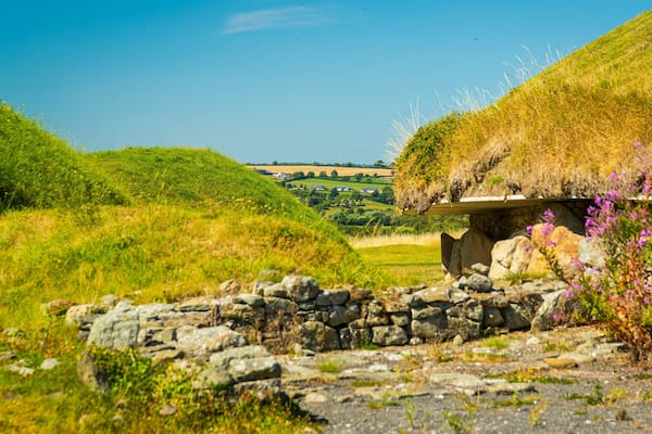 Knowth featuring heritage elements and wildflowers