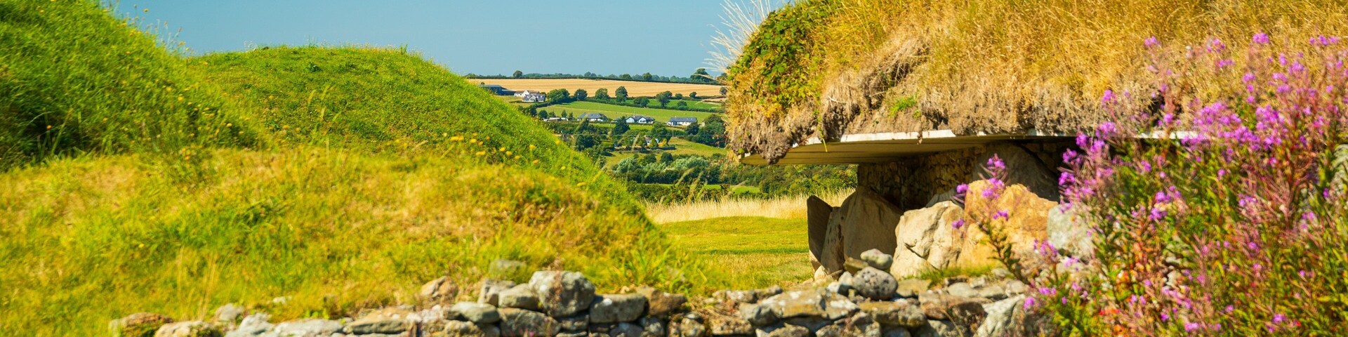 Knowth featuring heritage elements and wildflowers