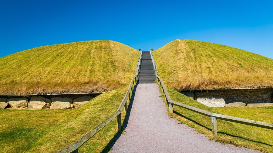 Knowth featuring heritage elements