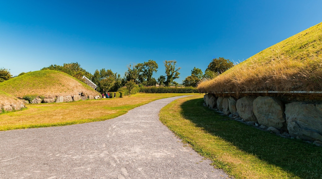 Knowth featuring heritage elements and a park