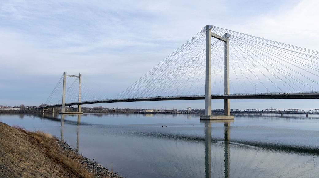 KENNEWICK, WASHINGTON, USA - Jan 9th 2026: The Cable Bridge spans the Columbia River between the cities of Kennewick and Pasco.