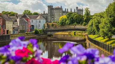 Une rivière traversée par un pont, un château et des bâtiments aux couleurs vives.
