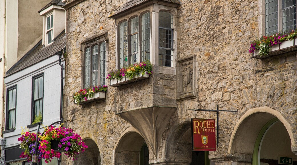 Rothe House showing flowers and heritage elements