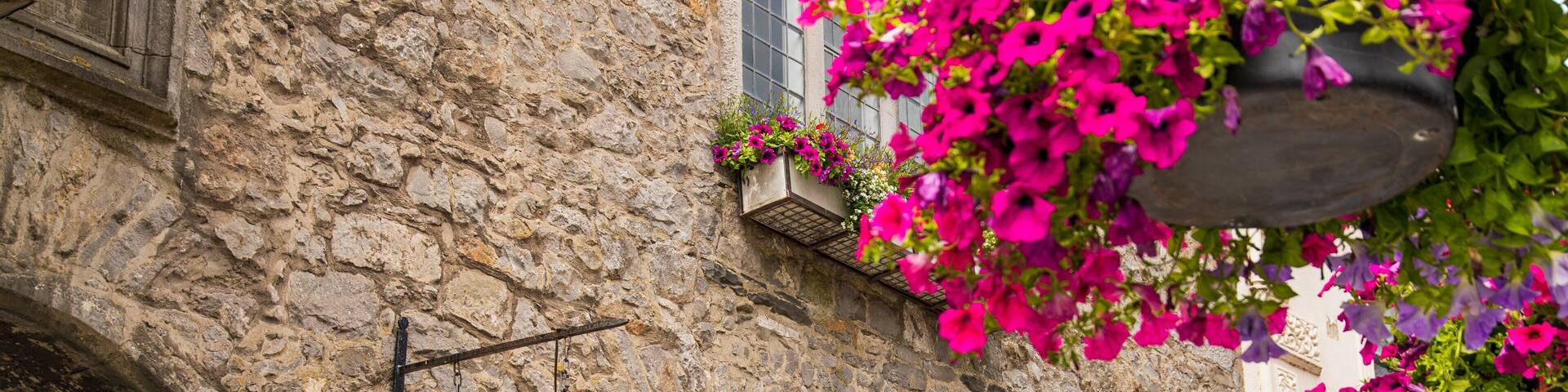 A stone building with a sign reading "Roth House Kilkenny 1594."