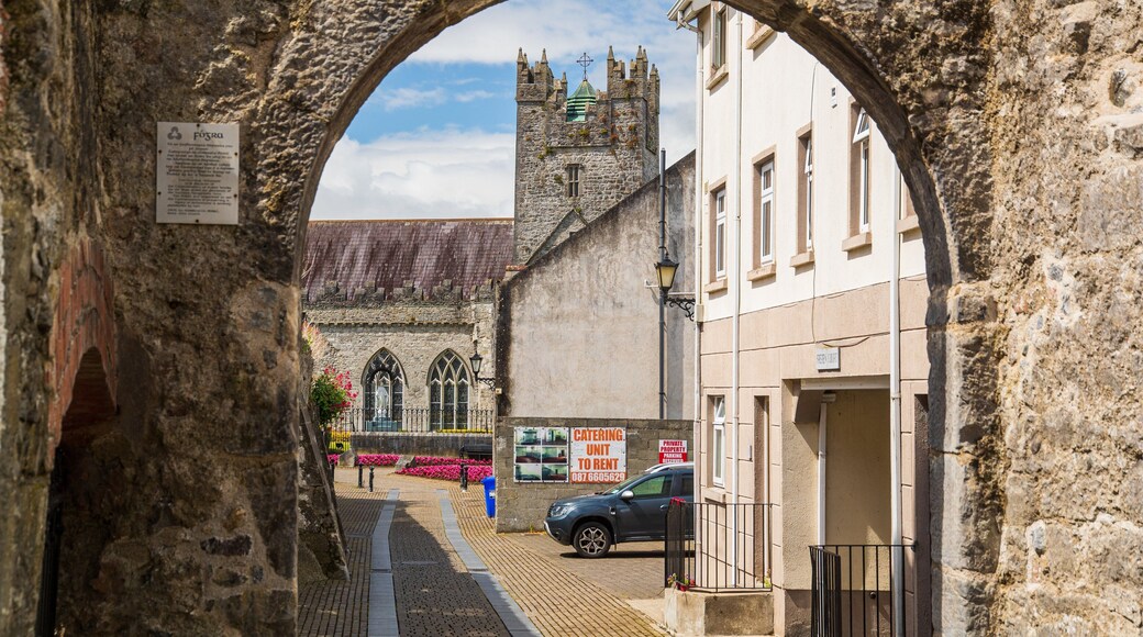 Black Abbey which includes heritage architecture
