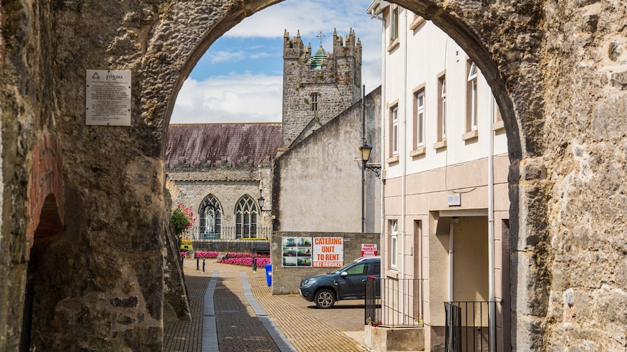 Black Abbey which includes heritage architecture