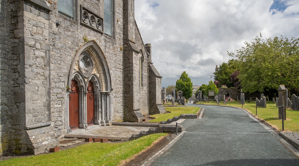 St. Canice\'s Cathedral which includes heritage architecture and a church or cathedral