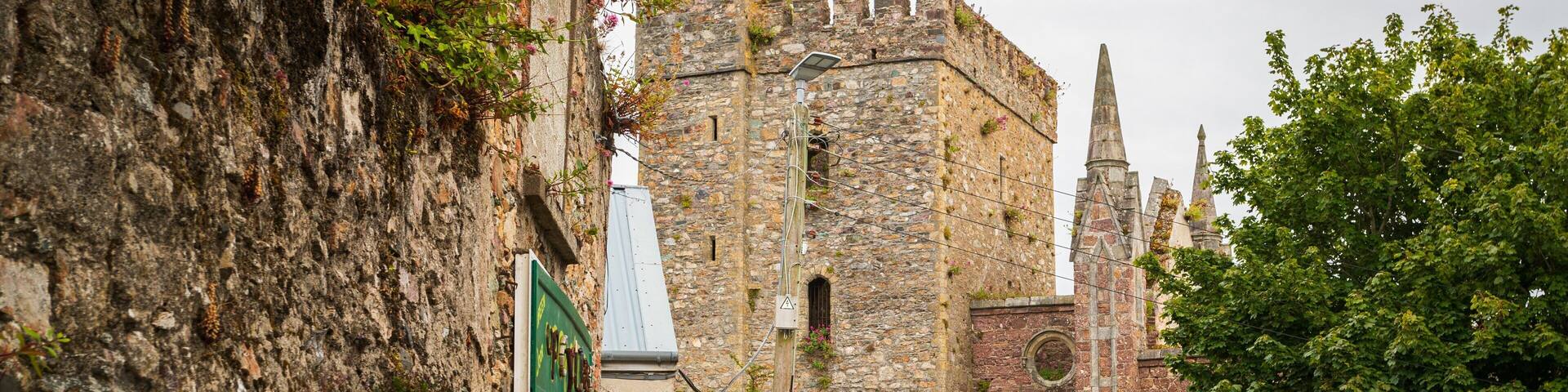 Selskar Abbey featuring heritage architecture and chateau or palace