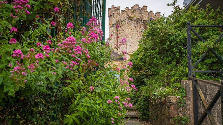 Selskar Abbey which includes chateau or palace, heritage architecture and wildflowers