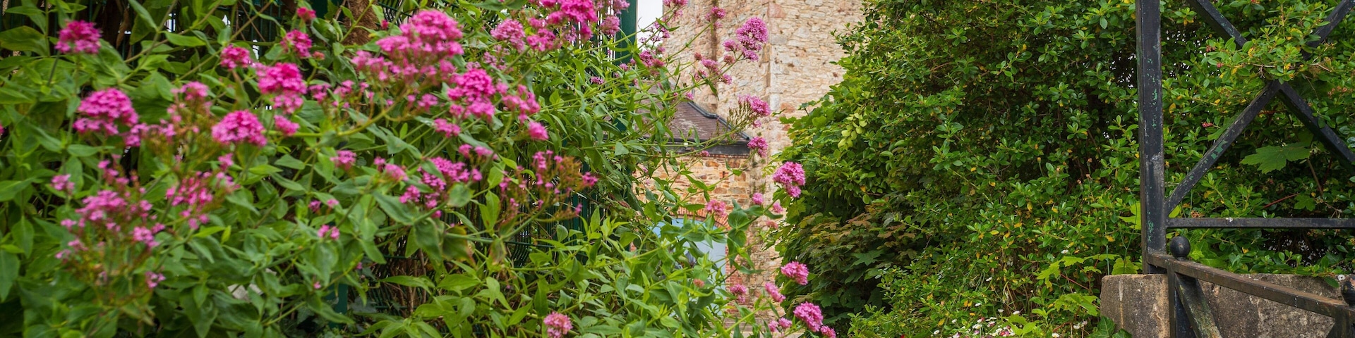 Selskar Abbey which includes chateau or palace, heritage architecture and wildflowers