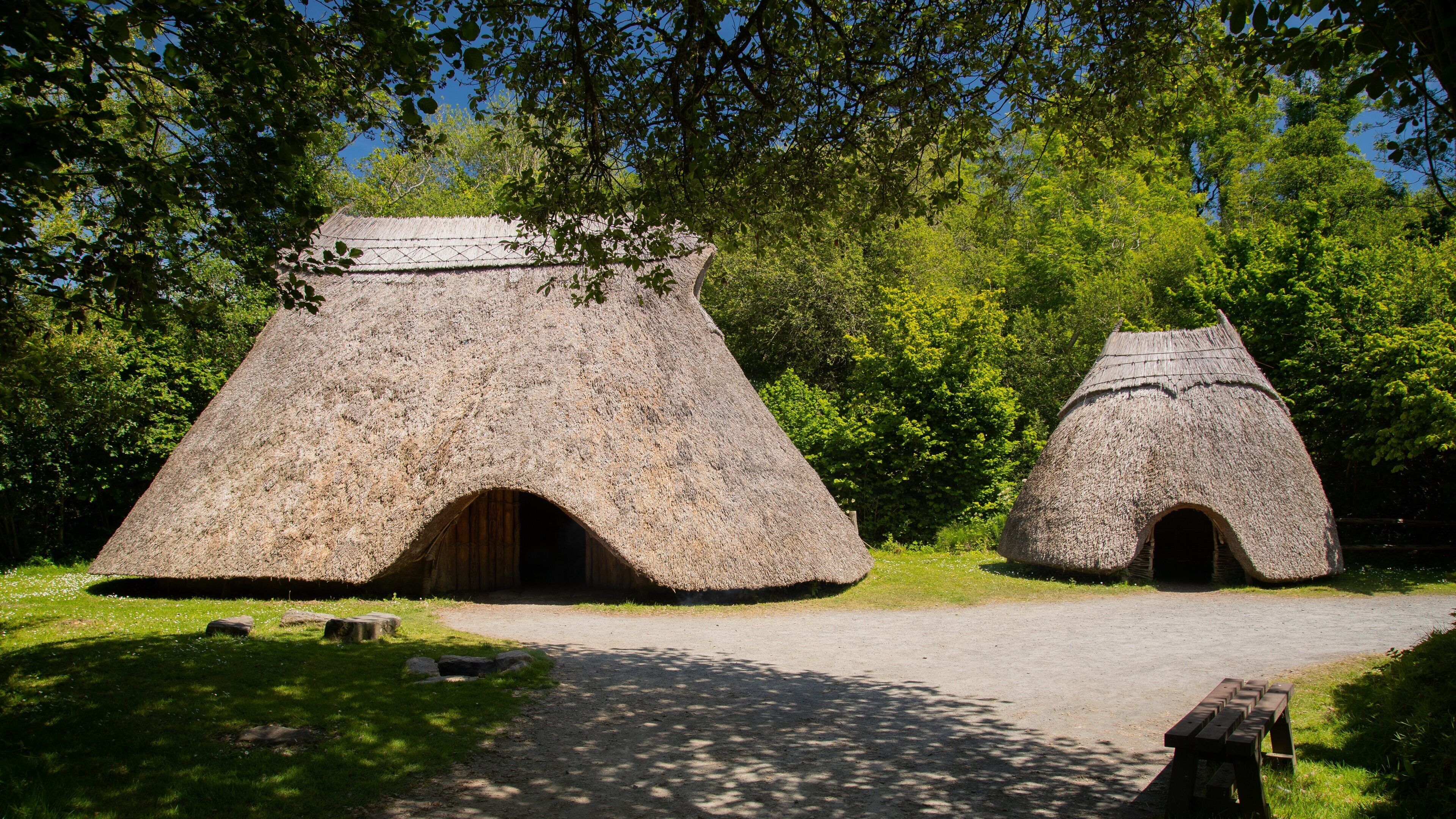 Irish National Heritage Park featuring heritage elements