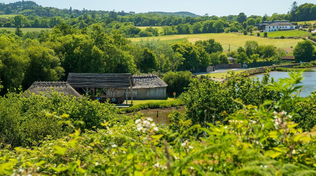 Irish National Heritage Park showing landscape views and a small town or village