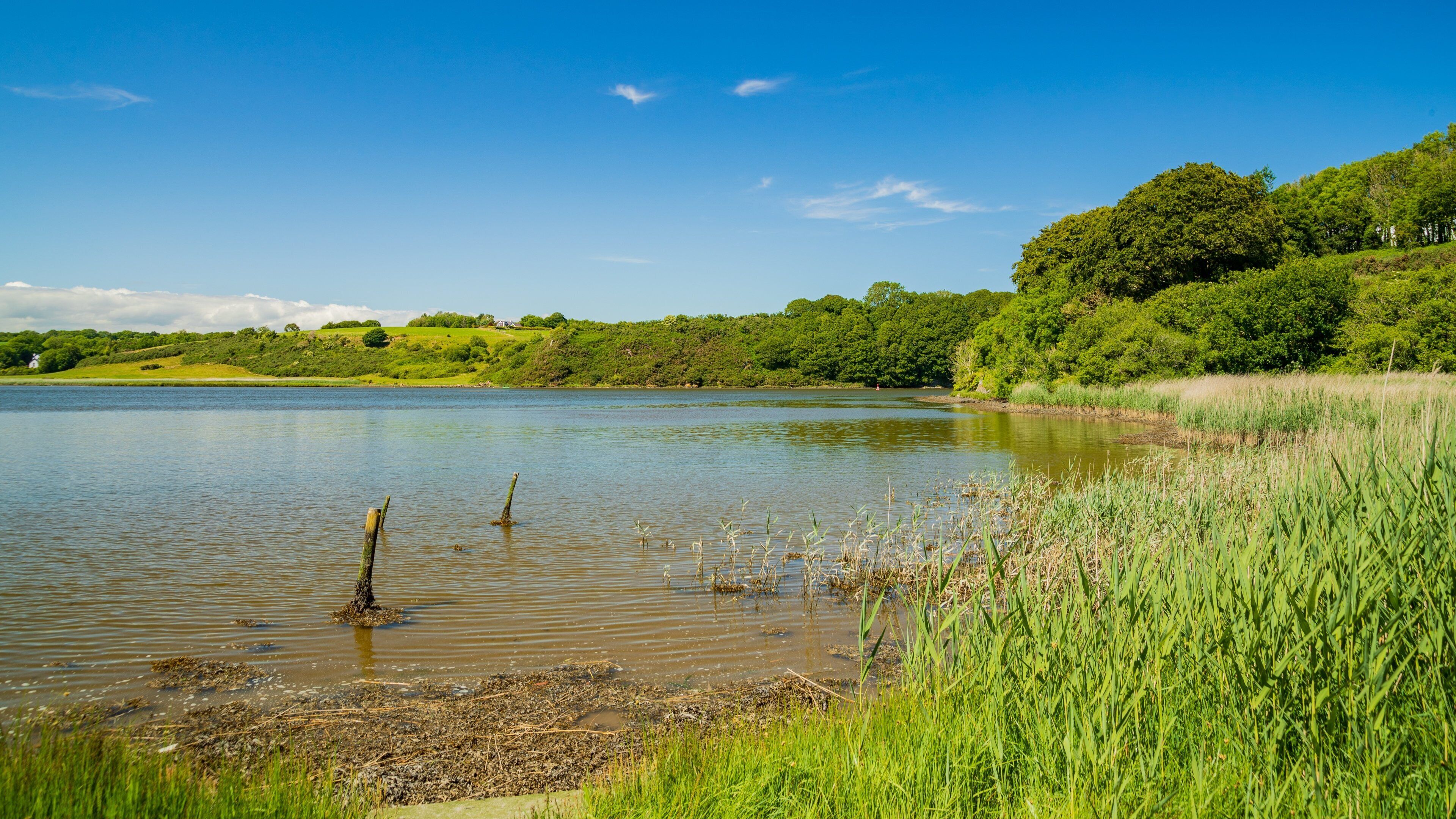 Irish National Heritage Park featuring a lake or waterhole