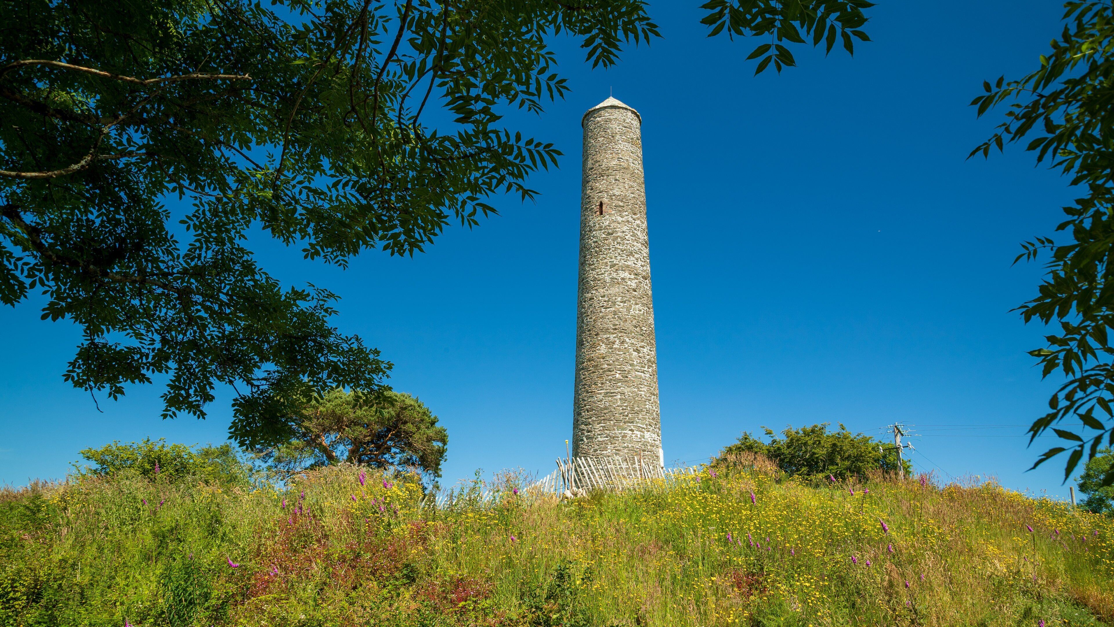 Irish National Heritage Park showing heritage elements and wildflowers