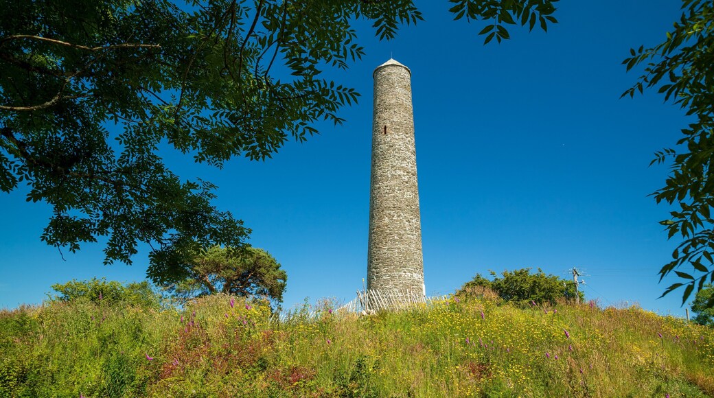 Irish National Heritage Park showing heritage elements and wildflowers