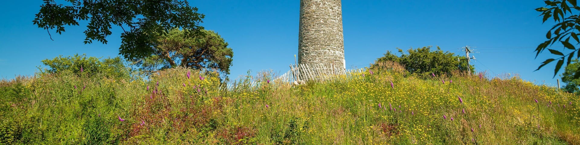 Irish National Heritage Park showing heritage elements and wildflowers