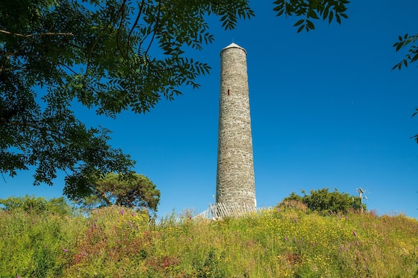 Irish National Heritage Park showing heritage elements and wildflowers