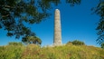 Irish National Heritage Park showing heritage elements and wildflowers