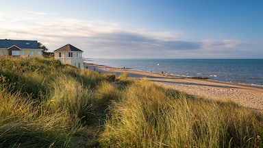 Un paisaje costero con una playa, dunas cubiertas de hierba y casas cerca del agua.