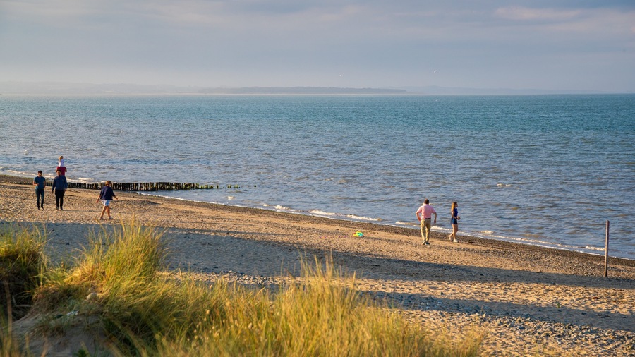 Rosslare Beach featuring a sunset, a beach and general coastal views