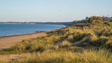 Rosslare Beach showing a sunset, general coastal views and a beach