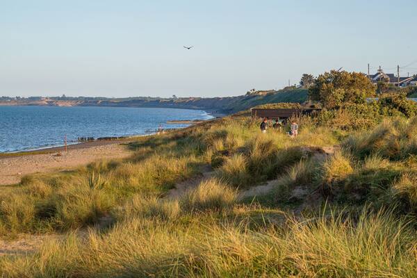 Rosslare Beach showing a sunset, general coastal views and a beach