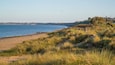 Rosslare Beach showing a sunset, general coastal views and a beach