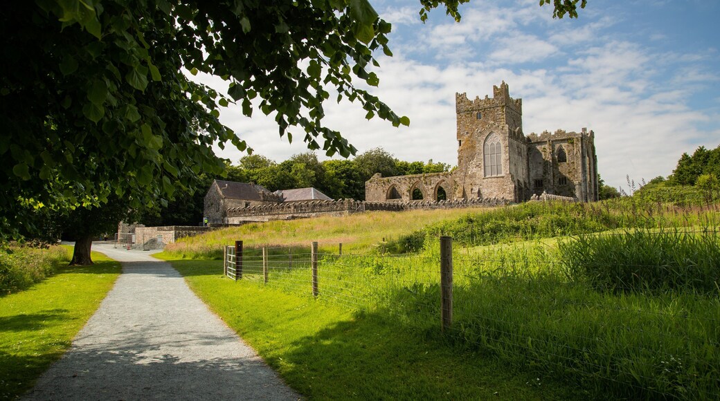 Tintern Abbey which includes heritage architecture and building ruins