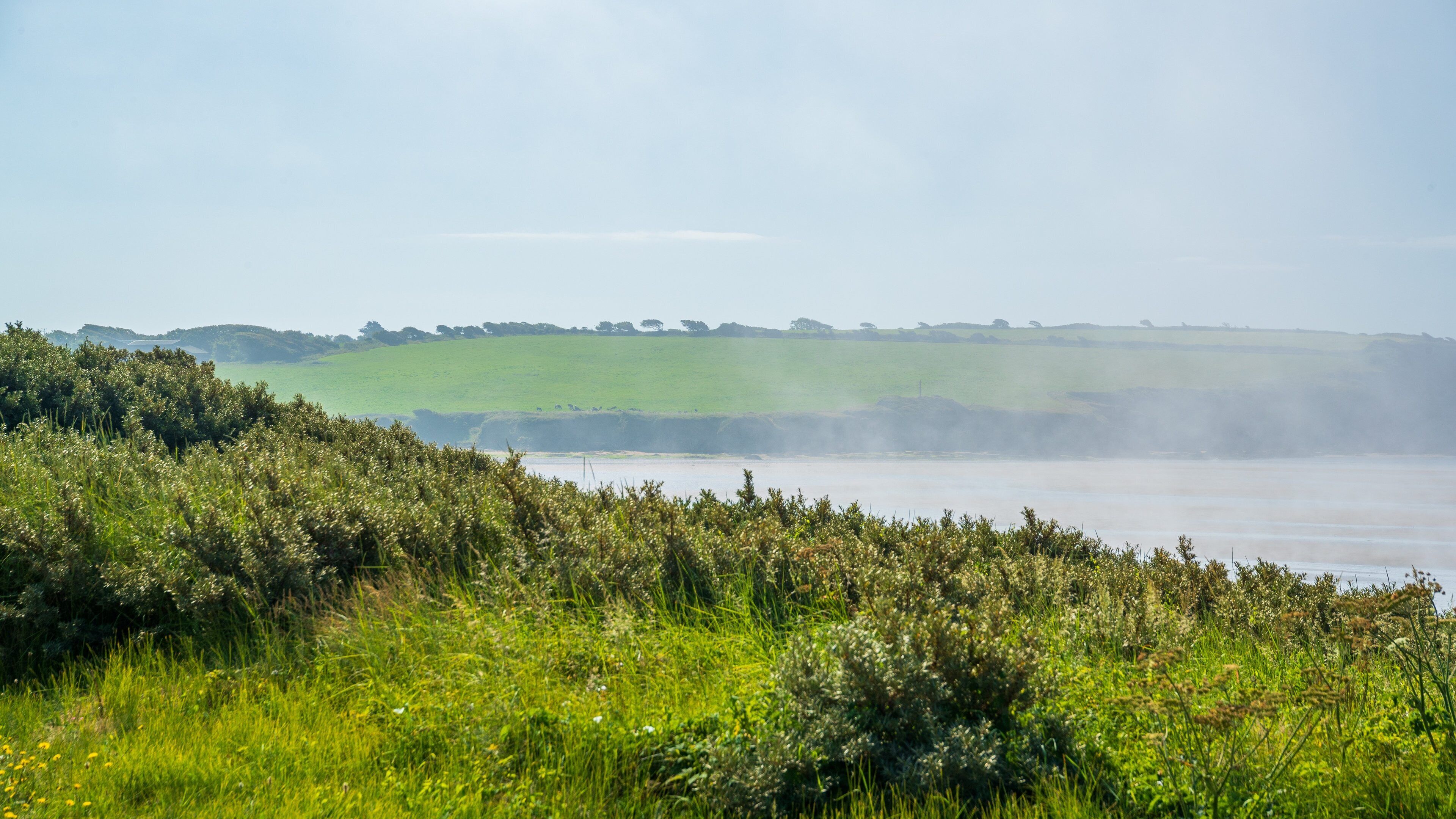 Duncannon Beach featuring mist or fog and general coastal views