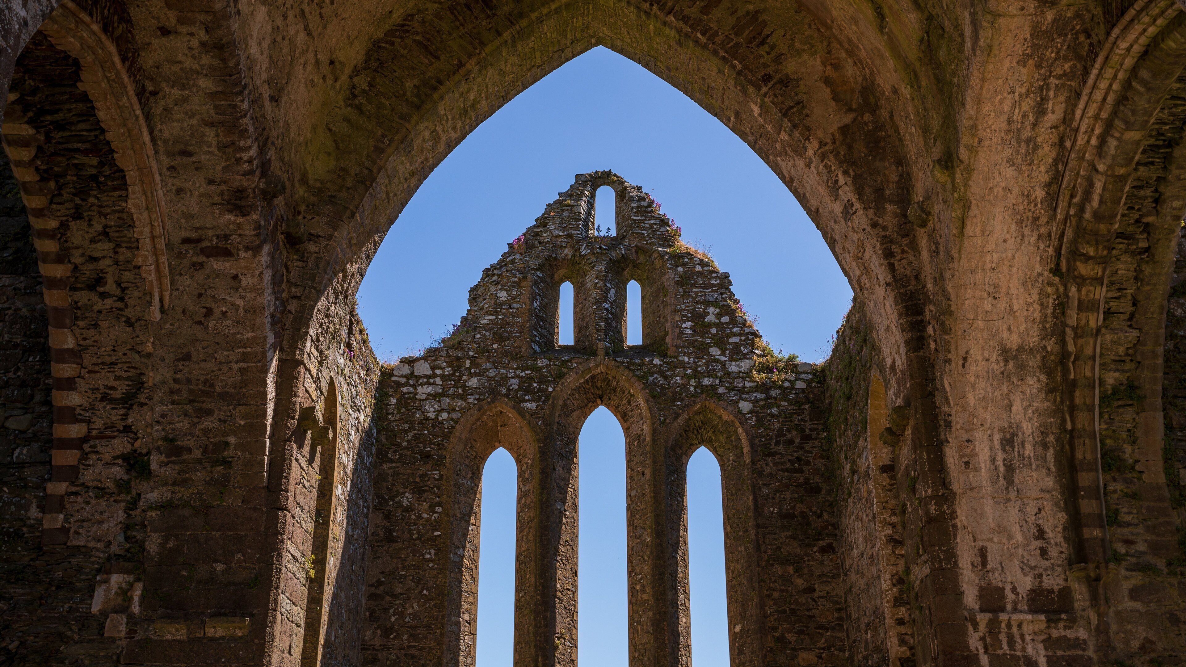 Dunbrody Abbey which includes heritage elements and a ruin